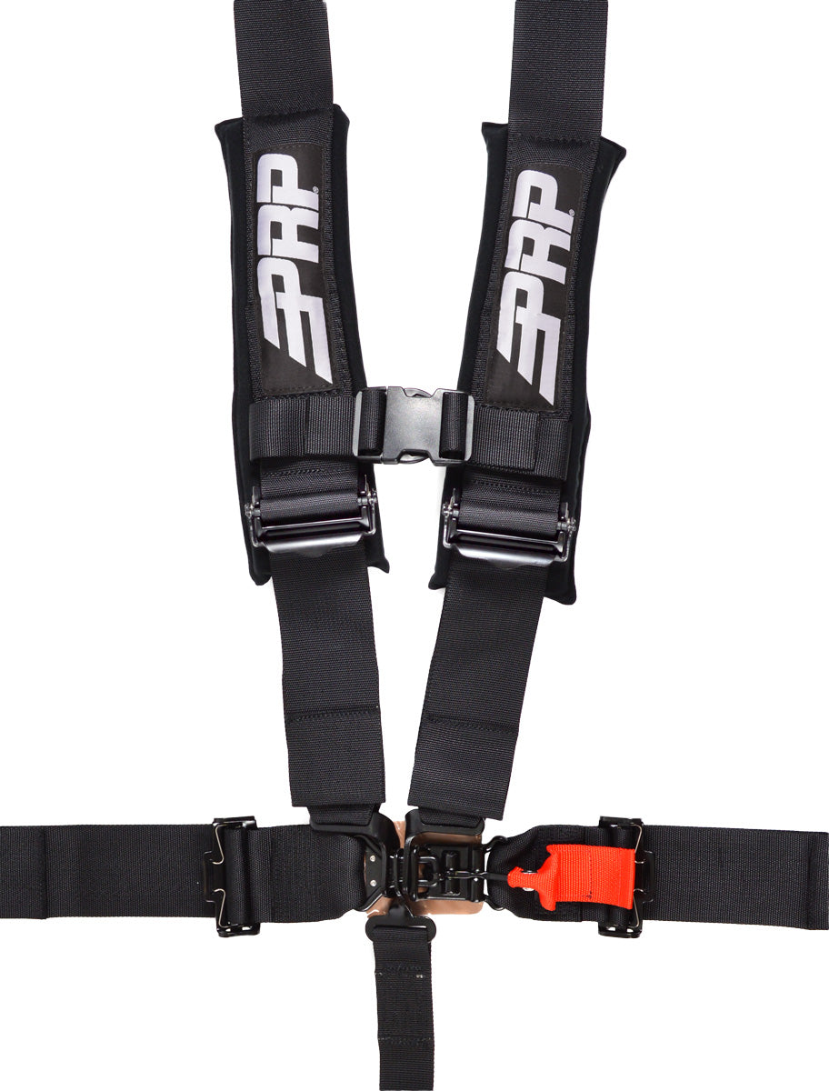 5.3 HARNESS