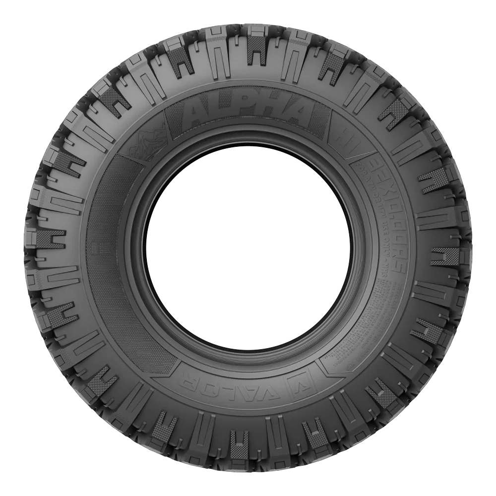 ALPHA 30X10R14 H1
