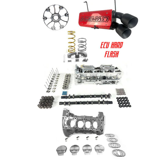 PERFORMANCE STG5 KIT / PRO R 390hp